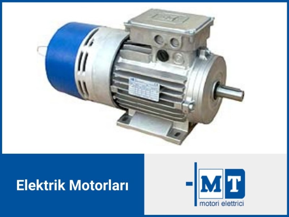 MT MOTORİ ELETTRİCİ TFP