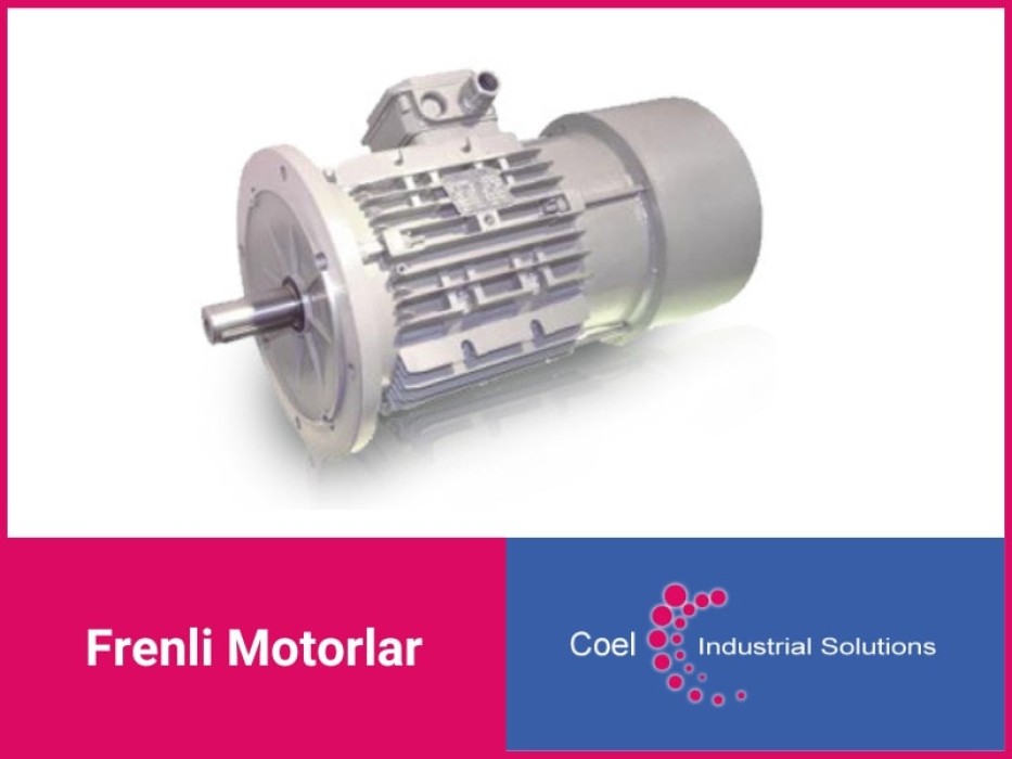 COEL MOTOR SW SERİSİ FRENLİ MOTORLAR