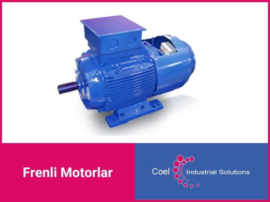 COEL MOTOR FM SERİSİ FRENLİ MOTORLAR